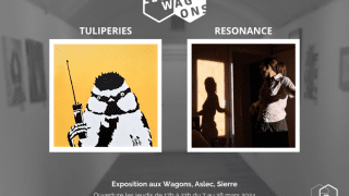 Exposition de Tulipe et Martine Carron